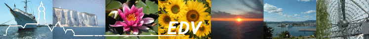 EDV